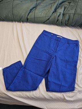 Bright Blue Dress Pants